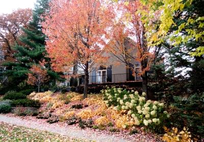 Twin Cities home photographed in fall