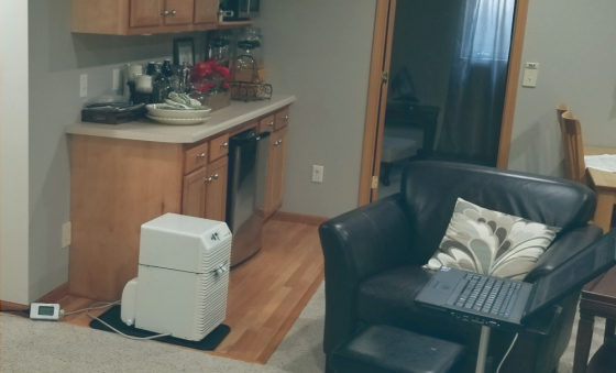 dehumidifier in basement